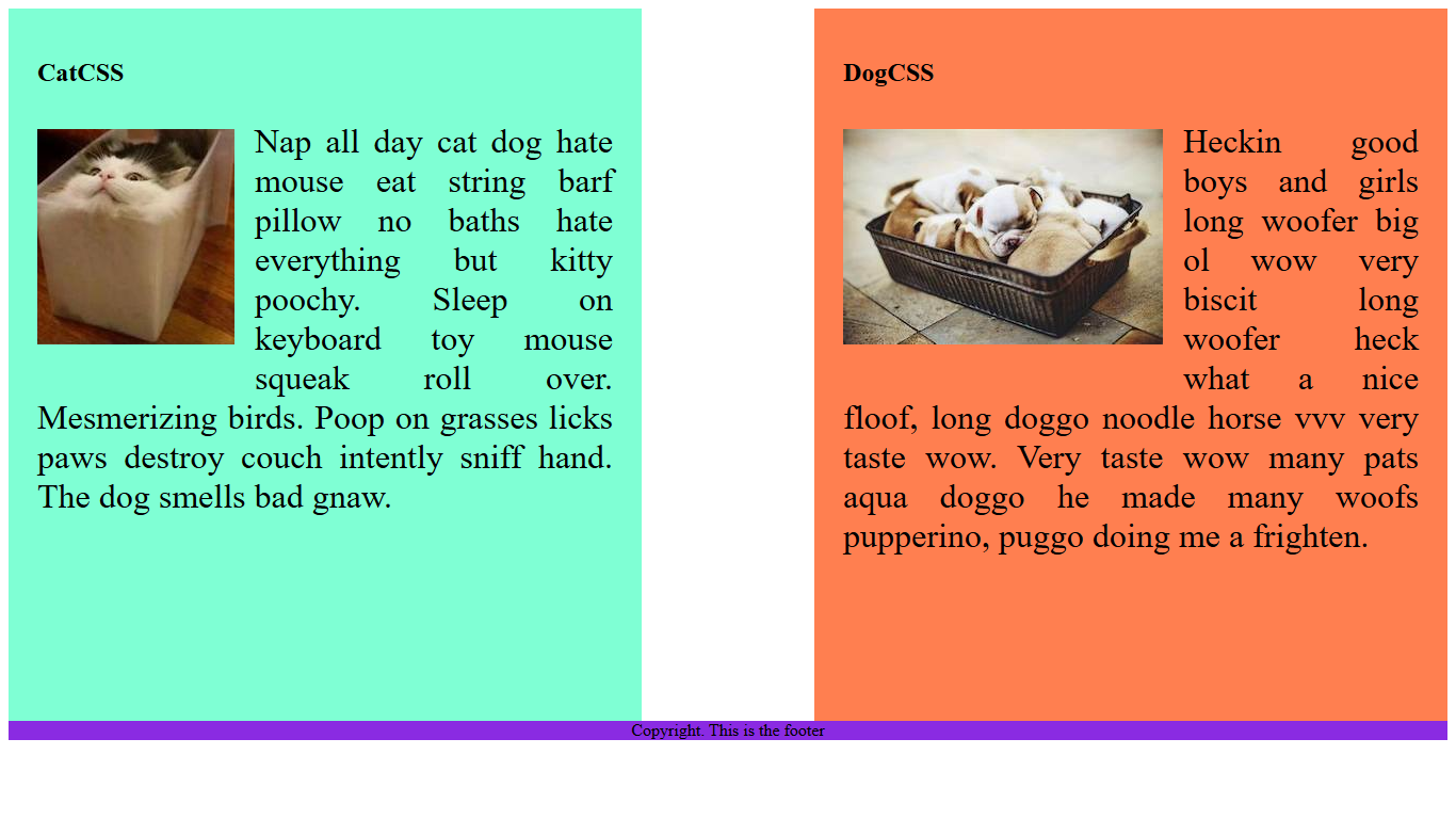 screenshot of CSS Float